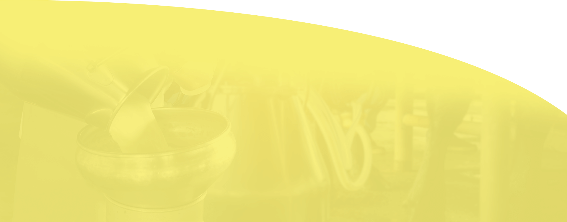 Yellow background