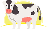 <b>Notice</b>: Undefined variable: the_process_title in <b>/home/mydairymilk/public_html/catalog/view/theme/default/template/extension/module/home_section.tpl</b> on line <b>9</b> Image